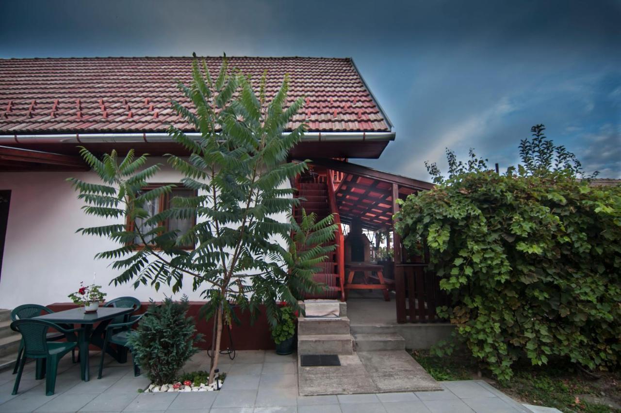 Отель Dobra Haz Ковасна Экстерьер фото
